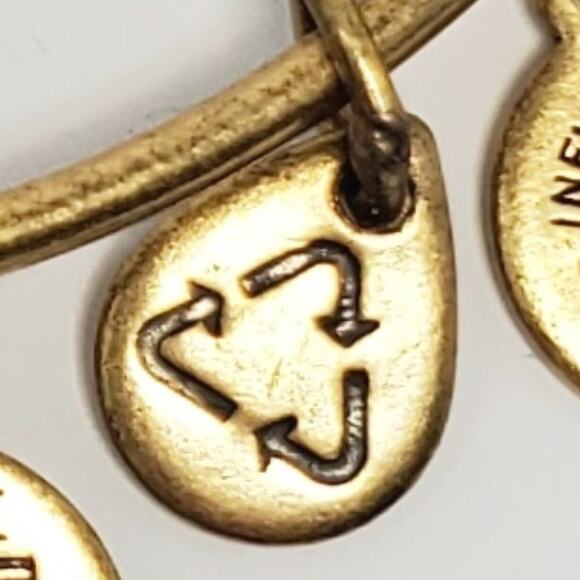 Disney X Alex & Ani Beauty and the Beast Charm Bracelet - Picture 5 of 15